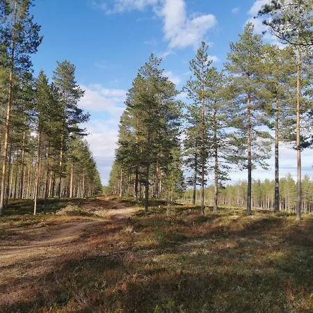 Villa Kalajoki Villa *