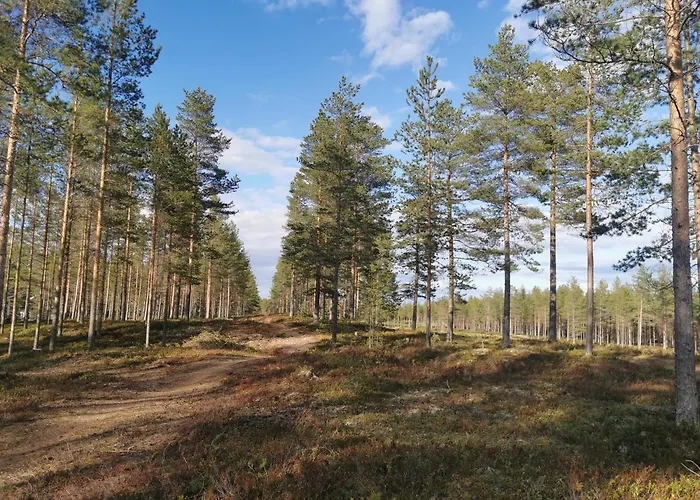 Villa Kalajoki וילה *