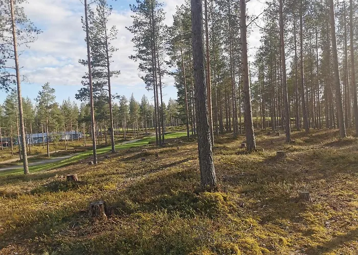 Villa Kalajoki וילה *